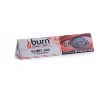 Табак Burn - Berry Mix (Ягодный Микс, 25 грамм) — 